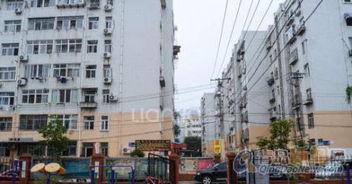 山东路家乐福最新爆料,揭秘神秘促销活动与独家优惠信息